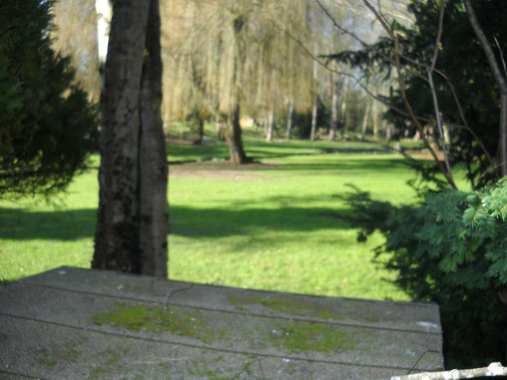 Hotel Auberge La Pomme De Pin Senonches Zewnętrze zdjęcie
